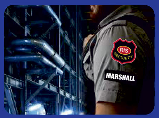 Industrial Security